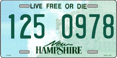 NH license plate 1250978