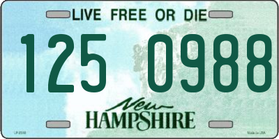 NH license plate 1250988
