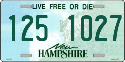 NH license plate 1251027