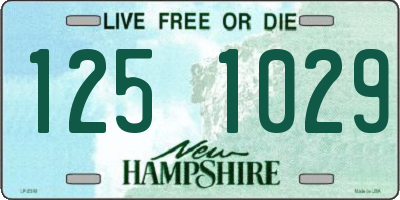NH license plate 1251029