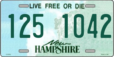 NH license plate 1251042