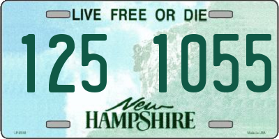 NH license plate 1251055