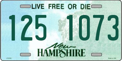 NH license plate 1251073
