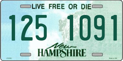 NH license plate 1251091