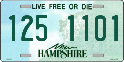 NH license plate 1251101