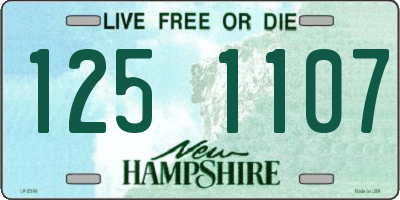 NH license plate 1251107