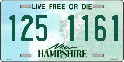 NH license plate 1251161