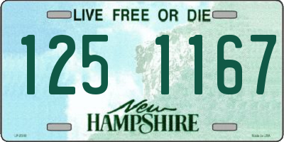 NH license plate 1251167