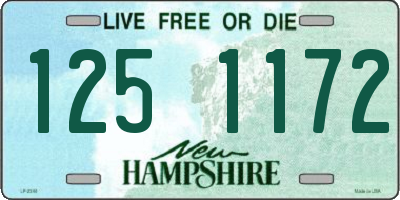 NH license plate 1251172