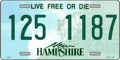 NH license plate 1251187