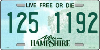 NH license plate 1251192