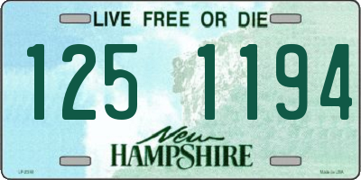 NH license plate 1251194