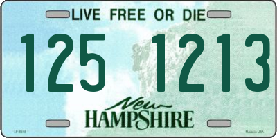 NH license plate 1251213