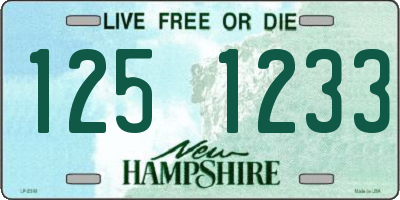 NH license plate 1251233