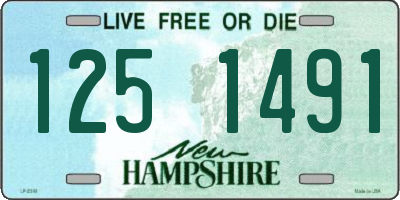 NH license plate 1251491