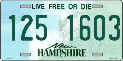 NH license plate 1251603