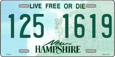 NH license plate 1251619