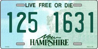 NH license plate 1251631