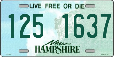 NH license plate 1251637
