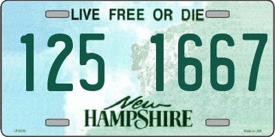 NH license plate 1251667