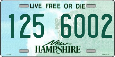 NH license plate 1256002