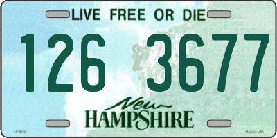 NH license plate 1263677