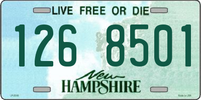 NH license plate 1268501