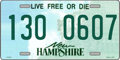 NH license plate 1300607