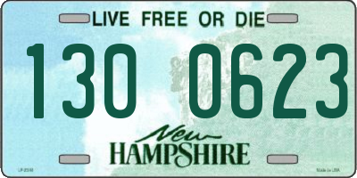 NH license plate 1300623