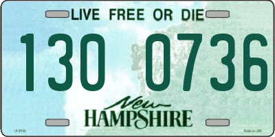 NH license plate 1300736