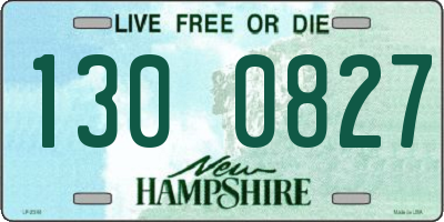 NH license plate 1300827