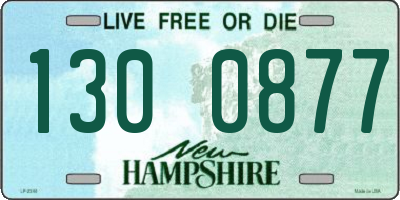 NH license plate 1300877