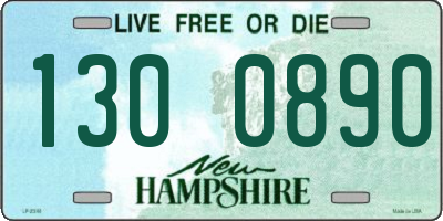 NH license plate 1300890