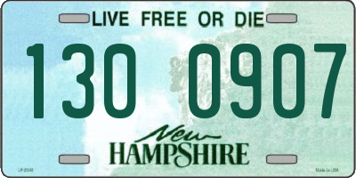NH license plate 1300907