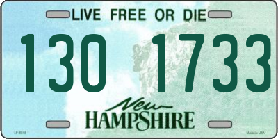 NH license plate 1301733