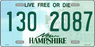 NH license plate 1302087