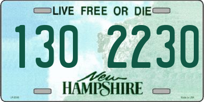 NH license plate 1302230
