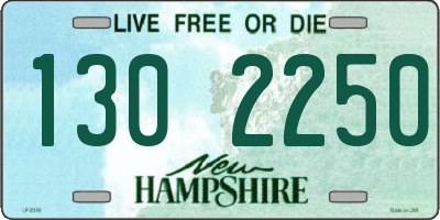 NH license plate 1302250