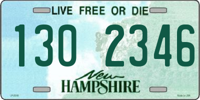 NH license plate 1302346