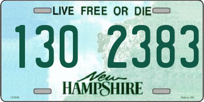 NH license plate 1302383