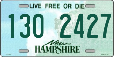 NH license plate 1302427