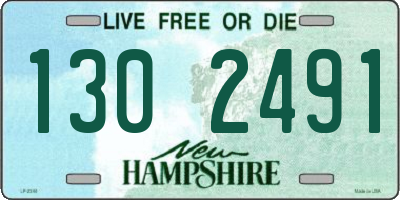 NH license plate 1302491