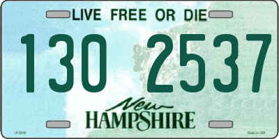 NH license plate 1302537