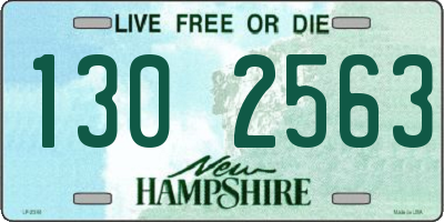 NH license plate 1302563