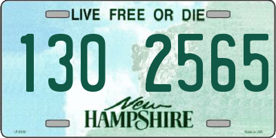 NH license plate 1302565