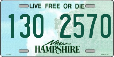 NH license plate 1302570