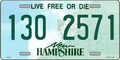 NH license plate 1302571