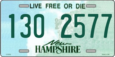 NH license plate 1302577