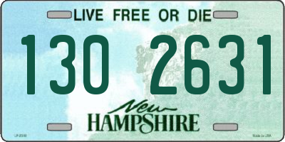 NH license plate 1302631