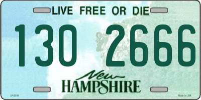 NH license plate 1302666